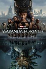 Watch Black Panther: Wakanda Forever Sflix