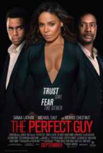 Watch The Perfect Guy Sflix