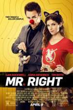 Watch Mr. Right Sflix