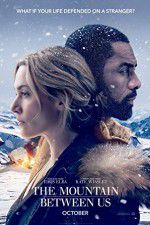 Watch The Mountain Between Us Sflix