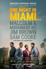 Watch One Night in Miami Sflix