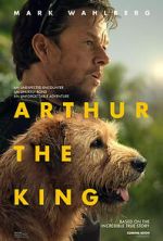 Watch Arthur the King Sflix