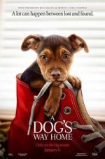 Watch A Dog's Way Home Sflix