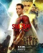 Watch Shazam! Fury of the Gods Sflix