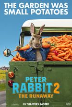 Watch Peter Rabbit 2: The Runaway Sflix