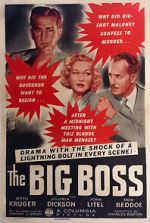 Watch The Big Boss Sflix