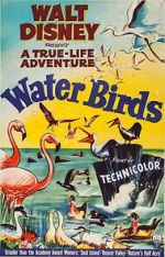 Watch Water Birds (Short 1952) Sflix