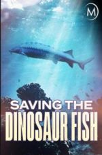Watch Saving the Dinosaur Fish Sflix