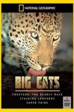 Watch National Geographic: Living With Big Cats Sflix