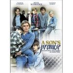 Watch A Son's Promise Sflix