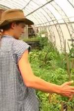 Watch Green House Seeds Strain Hunters India Expedition Sflix
