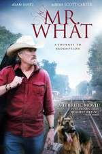 Watch Mr What Sflix