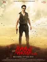 Watch Rang Panjab Sflix