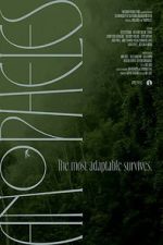 Watch Anopheles Sflix