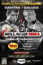 Watch Bellator Fighting Championships 89 Sflix