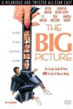 Watch The Big Picture Sflix