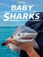 Watch Baby Sharks Sflix