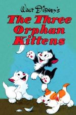 Watch Three Orphan Kittens Sflix