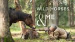 Watch Wild Horses, the Rockies and Me (TV Special 2025) Sflix