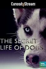 Watch Secret Life of Dogs Sflix