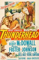 Watch Thunderhead: Son of Flicka Sflix