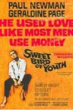 Watch Sweet Bird of Youth Sflix