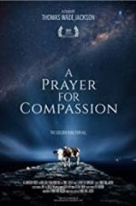 Watch A Prayer for Compassion Sflix