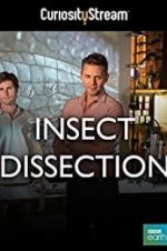 Watch Insect Dissection: How Insects Work Sflix