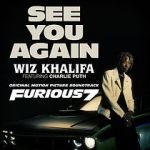Watch Wiz Khalifa Ft. Charlie Puth: See You Again Sflix