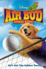 Watch Air Bud Spikes Back Sflix