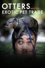 Watch Otters and the Exotic Pet Trade Sflix