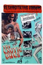 Watch The Exotic Ones Sflix