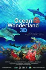 Watch Ocean Wonderland Sflix