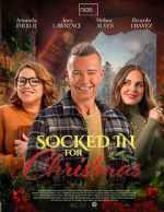 Watch The Great Christmas Snow-In Sflix