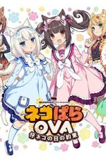 Watch Nekopara OVA Extra Sflix