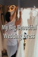 Watch My Big Beautiful Wedding Dress Sflix