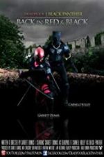 Watch Deadpool and the Black Panther Sflix