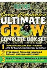 Watch Jorge Cervantes Ultimate Grow Complete Box Set Sflix
