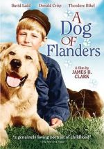 Watch A Dog of Flanders Sflix