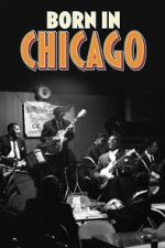 Watch Born In Chicago Sflix