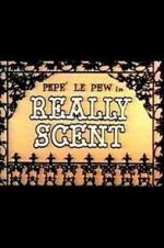Watch Really Scent (Short 1959) Sflix