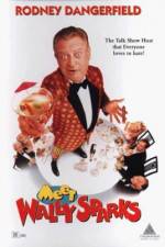 Watch Meet Wally Sparks Sflix