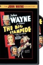 Watch The Big Stampede Sflix