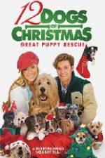 Watch 12 Dogs of Christmas Great Puppy Rescue Sflix