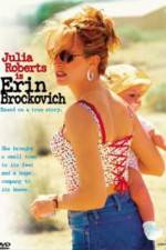 Watch Erin Brockovich Sflix