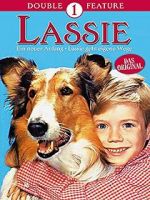 Watch Lassie: A New Beginning Sflix