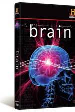 Watch The Brain Sflix