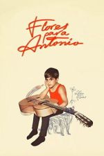Watch Flores para Antonio Sflix