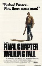 Watch Final Chapter: Walking Tall Sflix