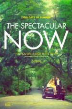 Watch The Spectacular Now Sflix